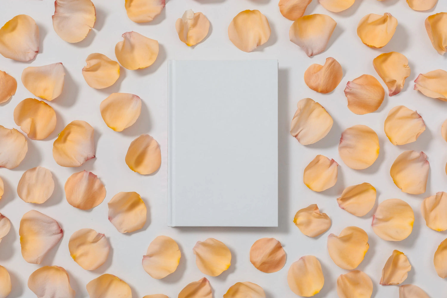 Remerciement clients  5 conseils - CréaBySana